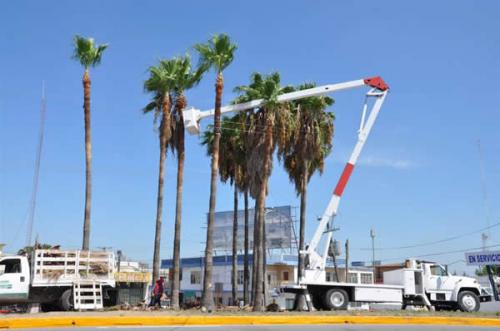 Embellecimiento de la urbanización